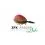 Zfish Method Feeder ZFX 60g