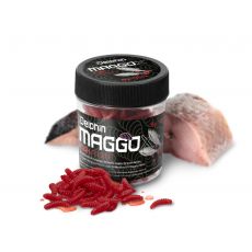 Delphin MaggoX Pop Up / Pește