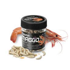 Delphin MaggoX Pop Up / Crevete