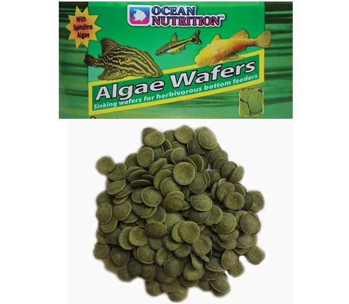Ocean Nutrition Algae Wafers 1 kg