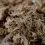Terrabloom Moss 12 L - presat