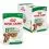 Royal Canin Dog Mini Ageing plicule &icirc;n sos 12 x 85 g