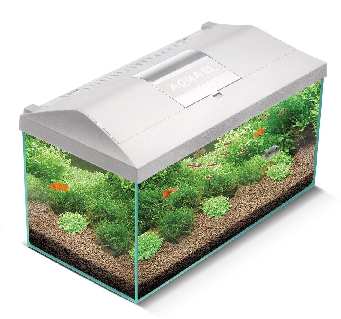 Acvariu 54l+echipament – Aquael Leddy PLU 60 D&N alb - capac, iluminare, filtru, încălzitor