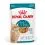 ROYAL CANIN AGEING 11+ Jelly bucăți &icirc;n jeleu pentru pisici &icirc;n v&acirc;rstă de peste 11 ani 24 x 85 g