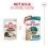 ROYAL CANIN AGEING 11+ Jelly bucăți &icirc;n jeleu pentru pisici &icirc;n v&acirc;rstă de peste 11 ani 36 x 85 g