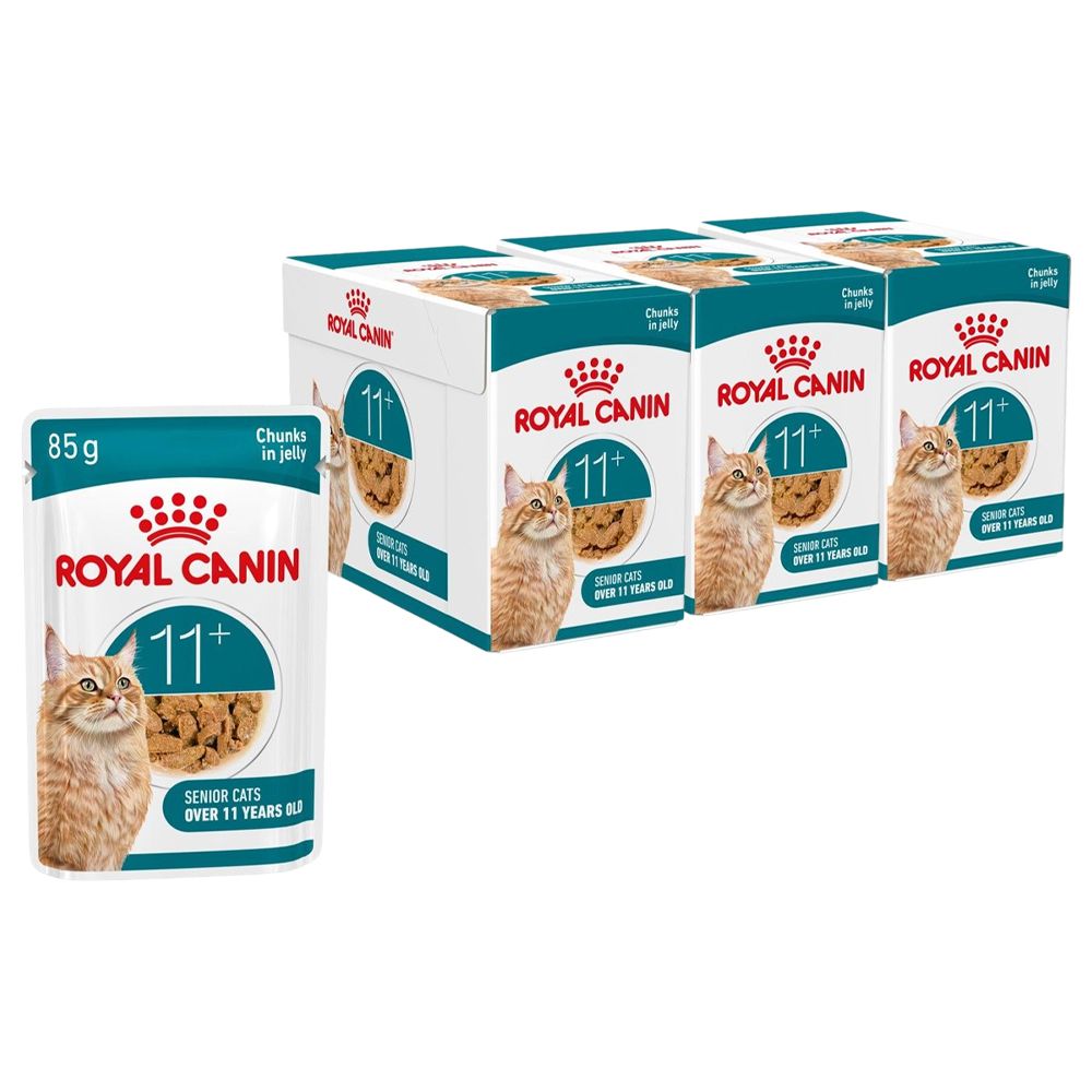 ROYAL CANIN AGEING 11+ Jelly bucăți în jeleu pentru pisici în vârstă de peste 11 ani 36 x 85 g