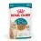 Royal Canin AGEING 15+ Gravy bucăți &icirc;n sos pentru pisici &icirc;n v&acirc;rstă de peste 15 ani 36 x 85 g