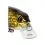 Westin RAWBITE CRANKBAIT Low Floating 15cm/61g Chartreuse Flow