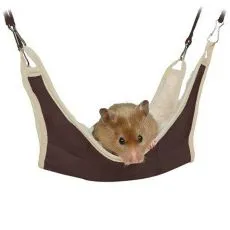 Culcuş, pat rozătoare