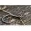 Korum Smokeshield Coated Braid 10m 15lb 