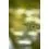 Korum Limitless Feeder 12ft 3.6m/180g/3