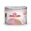 Royal Canin Mother & Babycat Pate instinctiv pentru pisici și pisoi care alăptează 6 x 195 g