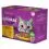 Whiskas Poultry selection &icirc;n suc 12 x 85 g - AMBALAJ DETERIORAT
