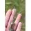 Preston Feeder Links Stiff 2x Short 60mm