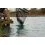 Preston Carp XS Landing Net 22" 55cm