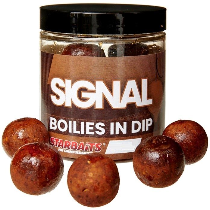 Starbaits Boilies in Dip SIGNAL 24mm/150g