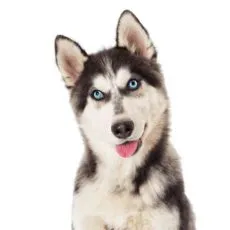 Pentru straturile inferioare