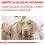 Royal Canin VHN Neutered Adult Small Dog 3,5 kg - AMBALAJ DETERIORAT