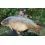 Dynamite Baits HOT FISH & GLM Boilies 1.8kg/20mm