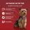 PURINA ONE MINI Dog Active Carne de vită și rață &icirc;n suc 10 x 85 g