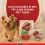 PURINA ONE MINI Dog Active Carne de vită și rață &icirc;n suc 10 x 85 g
