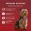 PURINA ONE MINI MINI Dog Sensitive Somon &icirc;n suc 10 x 85 g