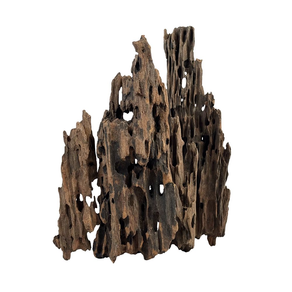 WIO Dragonscale Wood - lemn pentru acvariu M