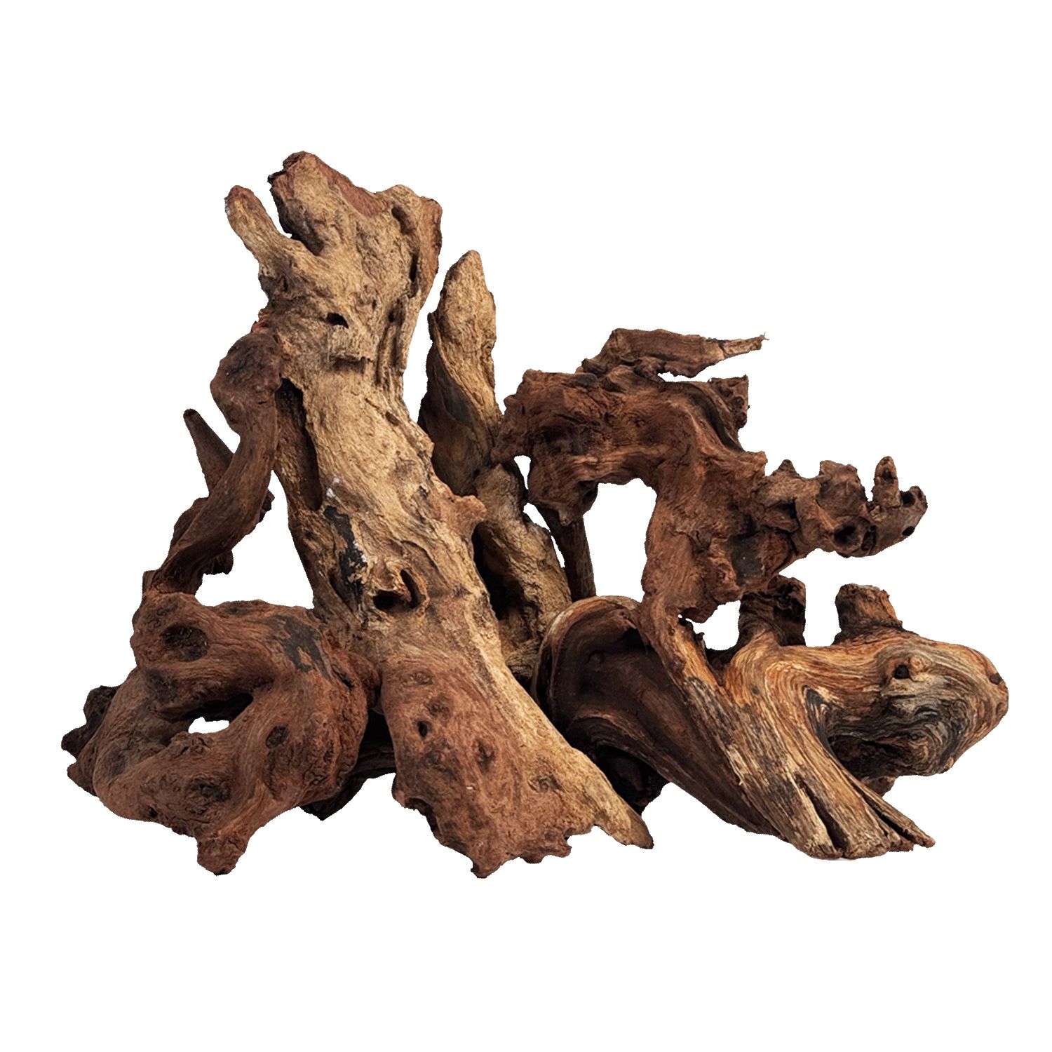 WIO Worn Wood - lemn pentru acvariu S