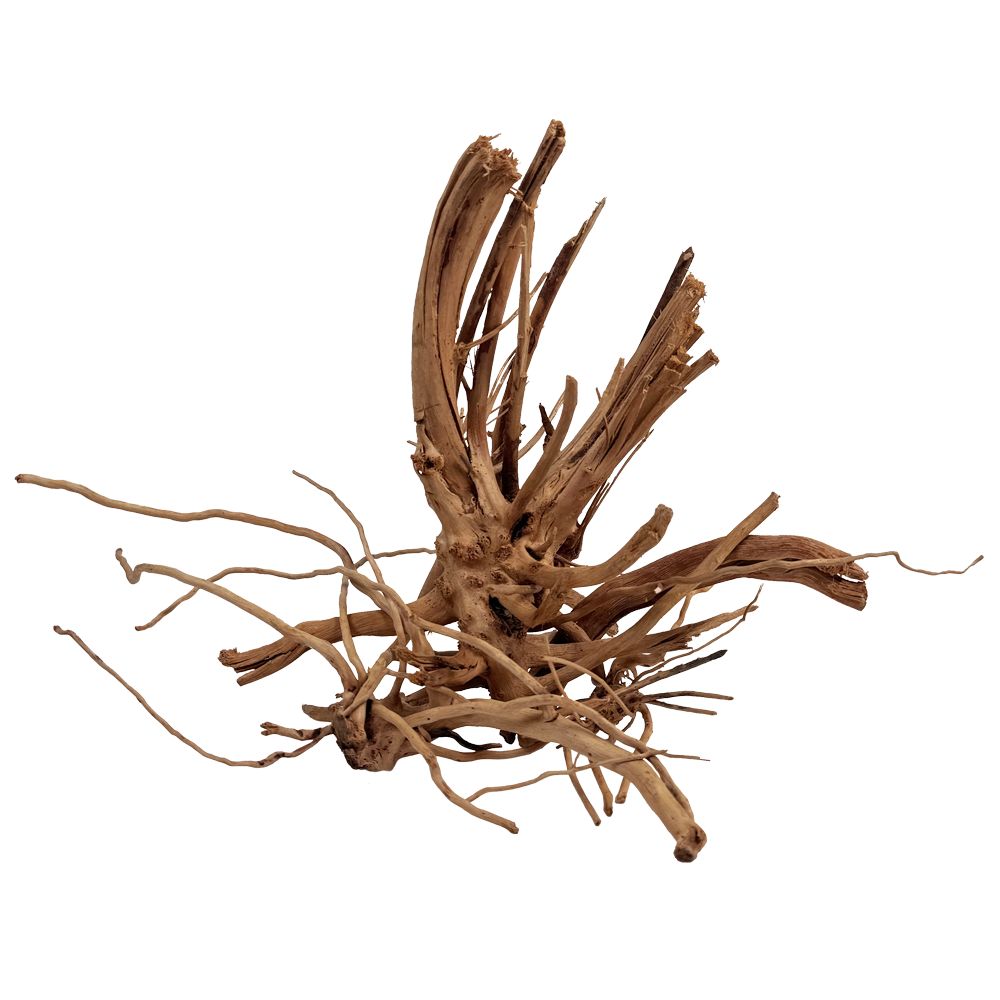 WIO Blondspider Wood - lemn pentru acvariu M