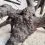 WIO Black Tree Trunk Wood - lemn pentru acvariu M