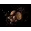 Delphin Boilies Delphin BreaX / MonstaFISH Monster crab-Tuna 24mm/300g