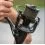 AVID Carp Revolve 8000FD
