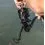 AVID Carp Revolve 12000FD