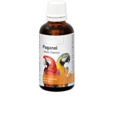 Cuburi minerale, vitamine pentru papagali