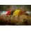 Black Cat REAL WORM TEASER Real Worm EVO 160g