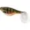 Westin SHADTEEZ 16cm/39g Tiger Perch 1x