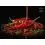 Delphin Booster BreaX/HotHELL Robin Red Chilli Frankfurter 250ml