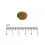 Eminent Selection Adult Cat Poultry 10+4 kg GRATUIT