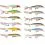 Rapala Wobler X-Rap 10 MD 10cm/13g