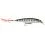 Rapala Wobler X-Rap 10 MD 10cm/13g
