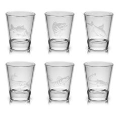 Delphin SHOTY 6x55ml