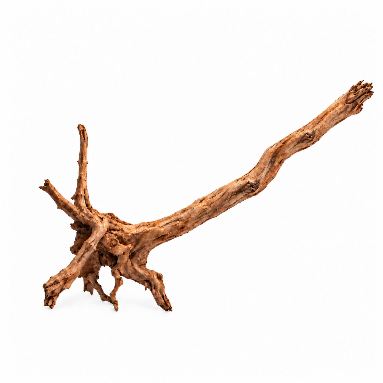 WIO Isengard Wood - lemn pentru acvariu XL