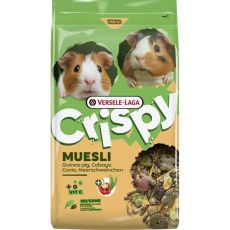 Versele Laga Crispy Muesli Guinea Pigs 2,5 kg - hrană pentru porcușori de Guineea