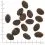 WOLFSBLUT Wild Pacific 12,5 kg + Pătură de călătorie GRATUIT