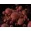 Delphin BreaX SweetBERRY Mulberry-Strawberry-Plum 24mm/100g