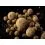 Delphin BreaX NutCAKE Tiger nut-Scopex-Sweetcorn 24mm/100g