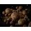 Delphin BreaX MonstaFISH Monster Crab-Tuna 24mm/100g