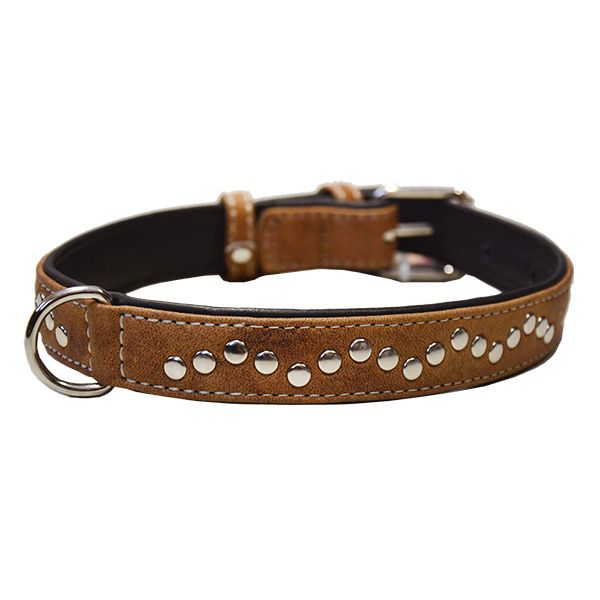 Zgardă din piele cu aplicații din metal - 38 - 49cm, 25mm - maro