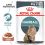 Royal Canin Hairball Care Gravy pliculeț pentru pisici în sos 24 x 85 g