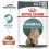 Royal Canin Hairball Care Gravy pliculeț pentru pisici &icirc;n sos 24 x 85 g